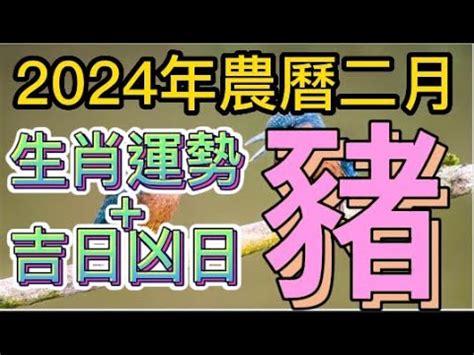 1994年農曆|1994年中國農曆,黃道吉日,嫁娶擇日,農民曆,節氣,節日